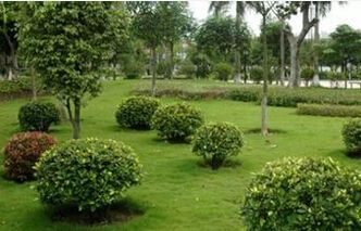 綠化工程招標代理典型業績 綠化工程招標代理典型業績