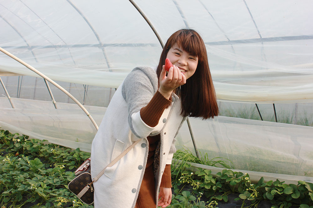 億誠建設三八婦女節摘草莓 億誠建設三八婦女節摘草莓