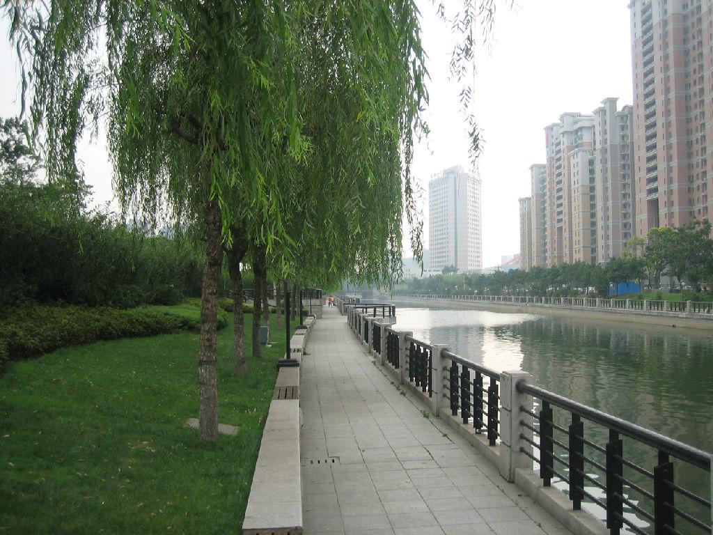 園林綠化工程 園林綠化工程