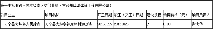 第一中標候選人技術負責人類似業績 第一中標候選人技術負責人類似業績