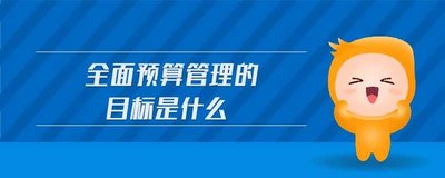 全面預算管理的目的是什么？