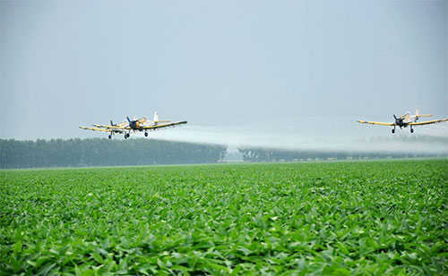 規模化農業生產 規模化農業生產